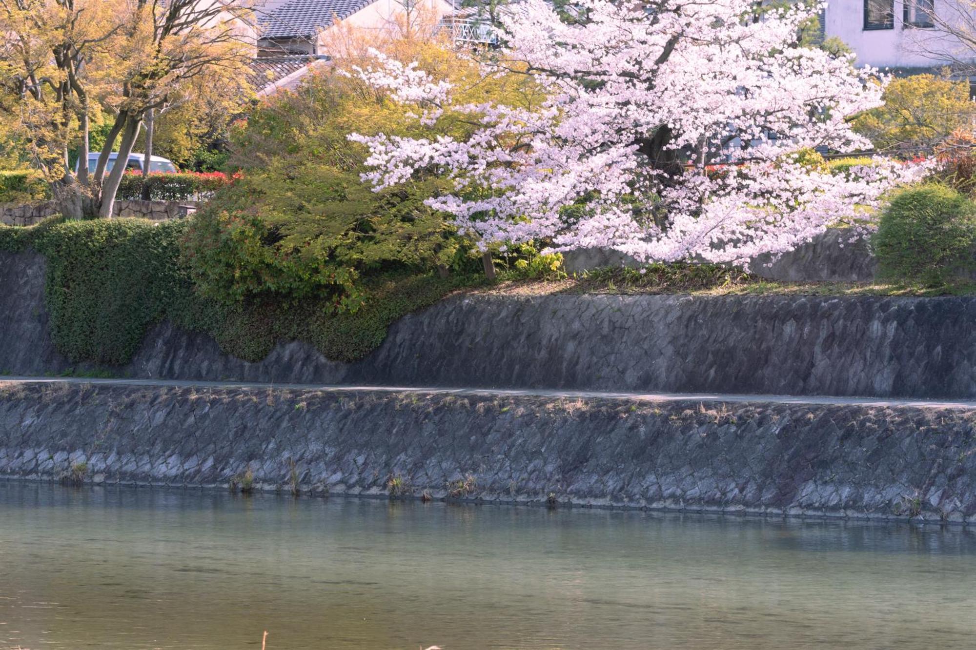 Omo5 Kyoto Sanjo By Hoshino Resorts Dış mekan fotoğraf