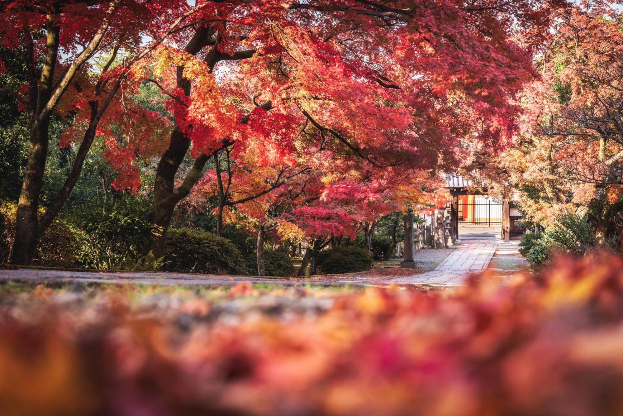 Omo5 Kyoto Sanjo By Hoshino Resorts Dış mekan fotoğraf