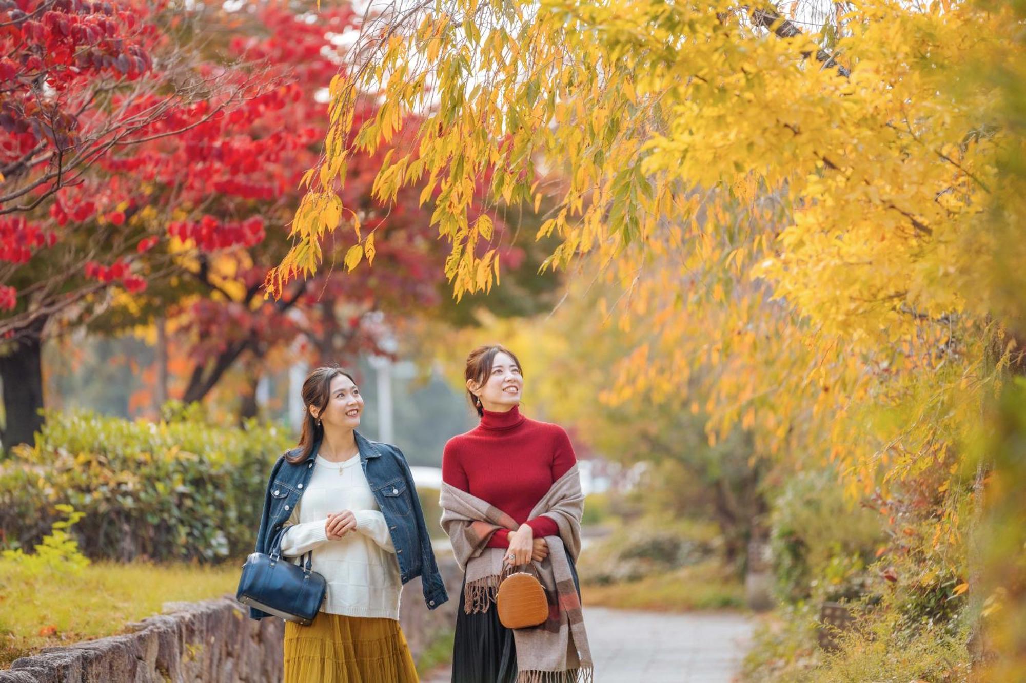 Omo5 Kyoto Sanjo By Hoshino Resorts Dış mekan fotoğraf